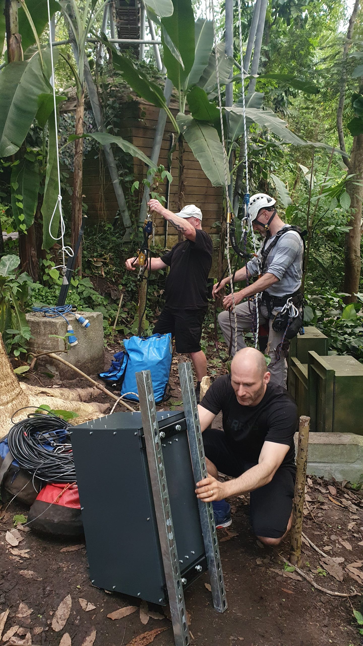The Meta team with the winch and camera rig among the plants inside the Eden biome.