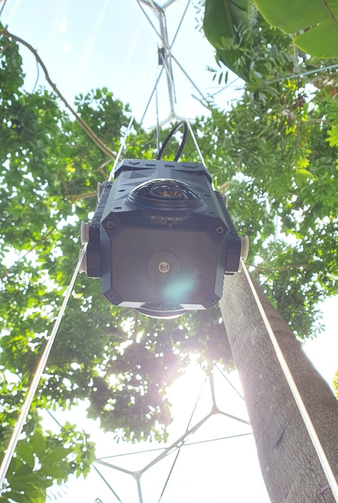 Meta Camera Rising through the Canopy